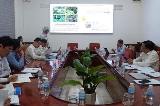 Khánh Hòa khẩn trương triển khai giải pháp xử lý ô nhiễm tại bãi rác Rù Rì