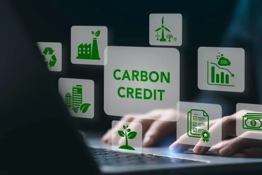 Giao dịch trên sàn carbon phải đủ tiền, đủ hạn ngạch ngay khi đặt lệnh