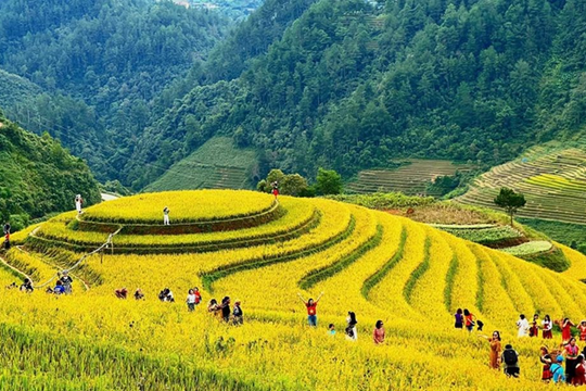 Ruộng bậc thang – “Lá chắn” tự nhiên trước biến đổi khí hậu