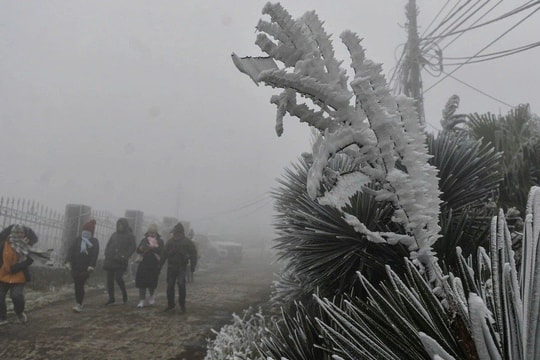Đêm nay miền Bắc có nơi lạnh 2,5 độ C, nguy cơ xuất hiện băng giá