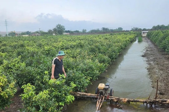 TP. Hồ Chí Minh triển khai kế hoạch tổng thể ứng phó hạn hán, xâm nhập mặn mùa khô 2026