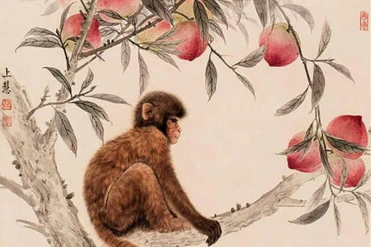 Xem tử vi hôm nay, tử vi 12 con giáp ngày 23/01/2026: Tuổi Mão năng động