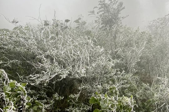 Nhiệt độ cao hơn trung bình nhiều năm, Bắc Bộ vẫn đối mặt nguy cơ rét đậm rét hại
