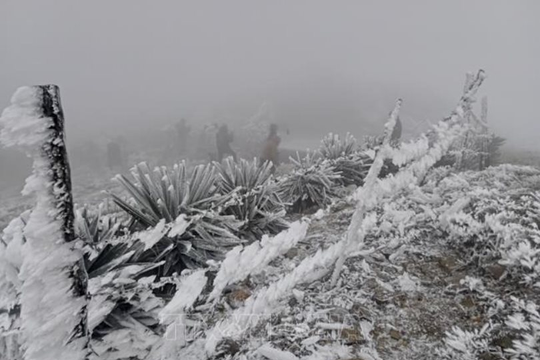 Lạng Sơn chủ động triển khai các biện pháp ứng phó rét đậm, rét hại