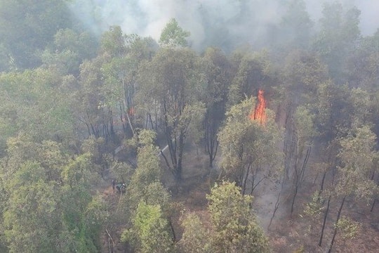Tây Ninh khống chế kịp thời vụ cháy rừng gần Khu di tích lịch sử cách mạng Bình Thành
