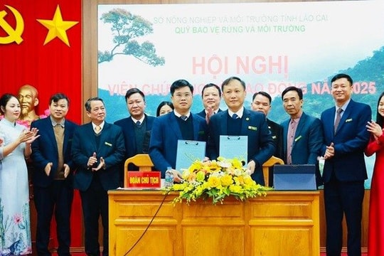Lào Cai chi trả hơn 282 tỷ đồng dịch vụ môi trường rừng trong năm 2025