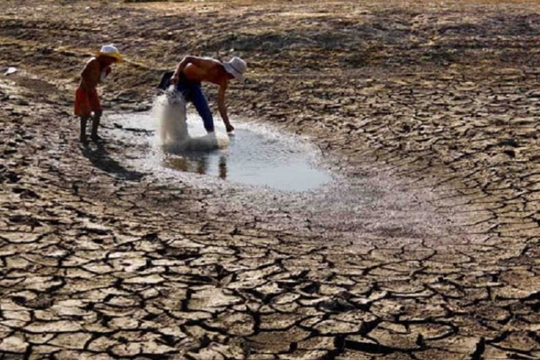 Tây Nguyên trước sức ép khí hậu: Thách thức lớn đối với nông nghiệp và hạ tầng