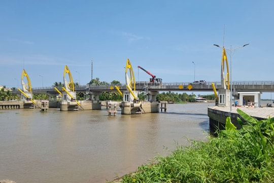 Vĩnh Long xây dựng hai kịch bản ứng phó xâm nhập mặn mùa khô 2025–2026