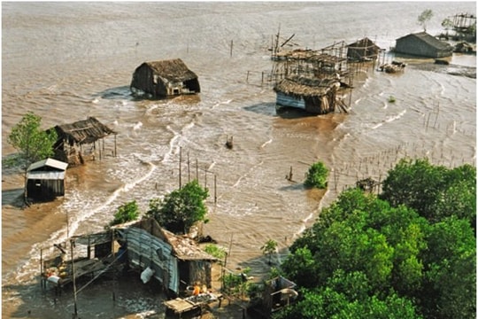 Từ quan trắc nước đến ngăn mặn: Cách tiếp cận mới ở ĐBSCL