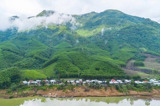 Thúc đẩy quản lý rừng bền vững và bảo tồn đa dạng sinh học tại Việt Nam