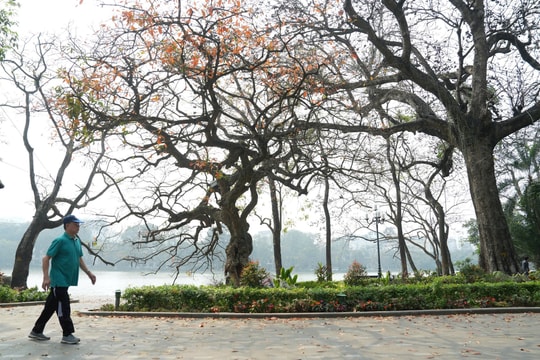 Từ nay đến cuối tháng 1, miền Bắc chuyển sang ấm dần