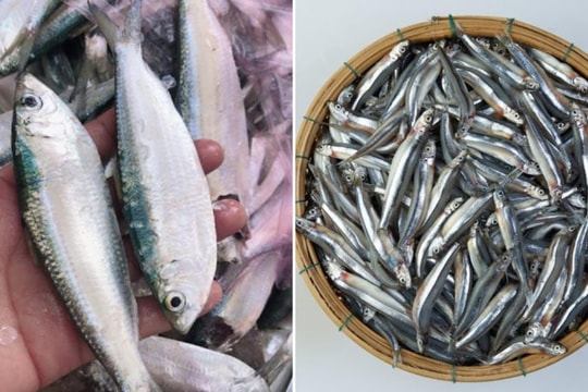 Năm thực phẩm tốt cho sức khỏe nam giới tuổi trung niên