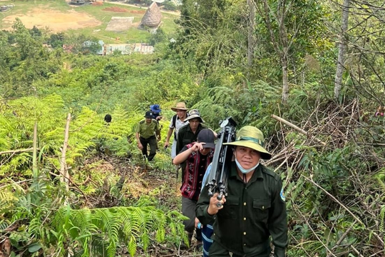 Đà Nẵng ứng dụng công nghệ nhằm phát triển bền vững tài nguyên rừng