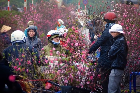 Xu thế thời tiết Tết Bính Ngọ sẽ ra sao?