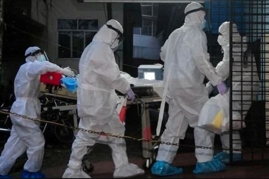 Trước nguy cơ virus Nipah xâm nhập Việt Nam, Bộ Y tế có văn bản hỏa tốc