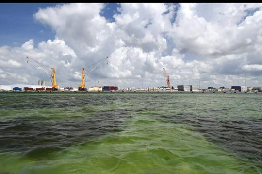 Mỹ nỗ lực khắc phục sự cố rò rỉ nước thải tại thủ đô Washington D.C.