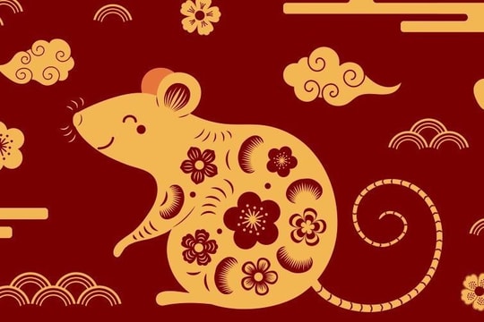 Xem tử vi hôm nay, tử vi 12 con giáp ngày 31/01/2026: Tuổi Dậu tài lộc khởi sắc, tuổi Tuất sự nghiệp bứt phá