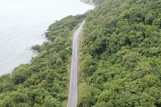 Thanh tra quá trình chuyển đất rừng phục vụ dự án Nhà máy rác Côn Đảo