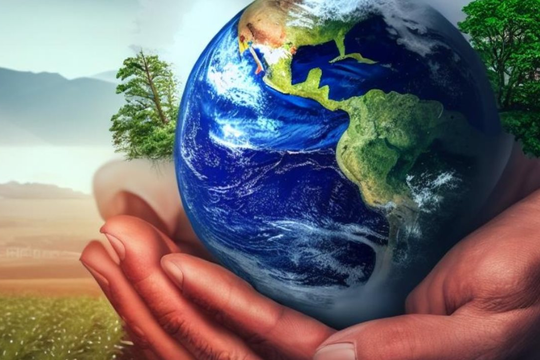 Hải Phòng yêu cầu Công ty TNHH Hoa Mỹ tuân thủ nghiêm quy định về bảo vệ môi trường