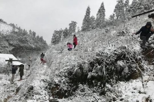 Bắc Bộ rét từ chiều 31/1, vùng núi có nơi dưới 8 độ C