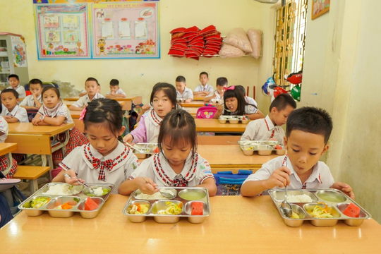 Rà soát, báo cáo toàn diện việc tổ chức và cung cấp bữa ăn học đường trên địa bàn TP.HCM
