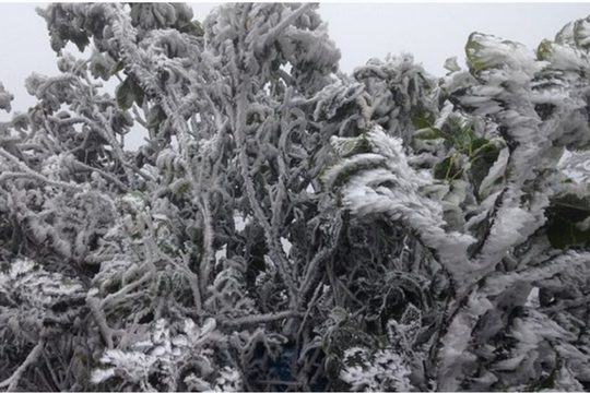 Miền Bắc chuyển trạng thái sang rét đậm, có nơi dưới 8 độ