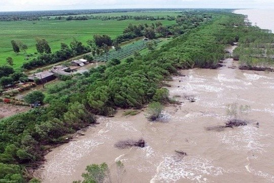 Cà Mau chủ động ứng phó biến đổi khí hậu