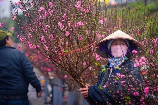 Dự báo: Tết Nguyên đán 2026 có thể ấm hơn trung bình nhiều năm