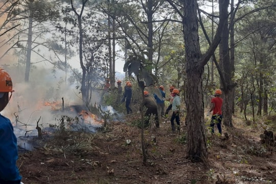 Bắc Ninh cảnh báo nguy cơ cháy rừng cấp IV tại nhiều địa phương