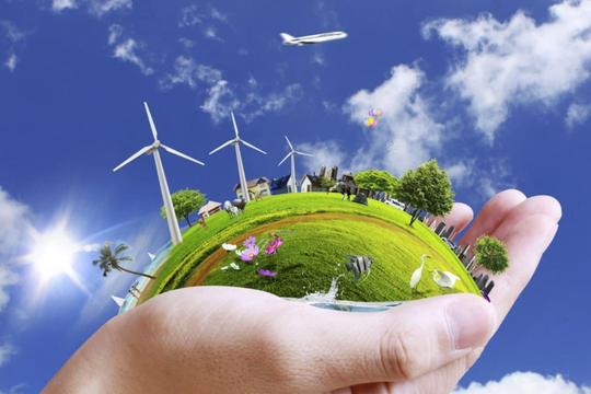 Nâng cao trách nhiệm của cấp tỉnh trong xử lý các vấn đề môi trường