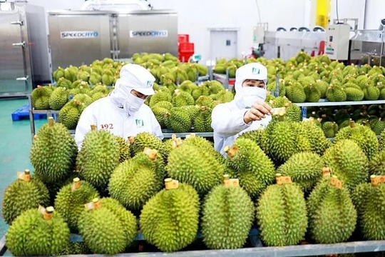 10 sự kiện đáng chú ý về ngành Nông nghiệp và Môi trường năm 2025