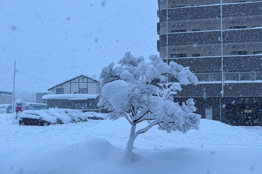 Nhật Bản cùng lúc hứng hạn hán nghiêm trọng và tuyết rơi kỷ lục