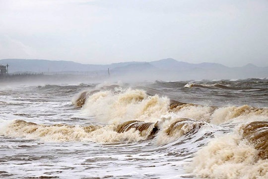 Chủ động ứng phó gió mạnh trên biển, bảo đảm an toàn tàu thuyền ven bờ