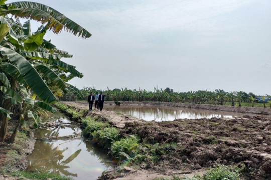 Quy định quản lý, khai thác công trình thủy lợi nhỏ, thủy lợi nội đồng