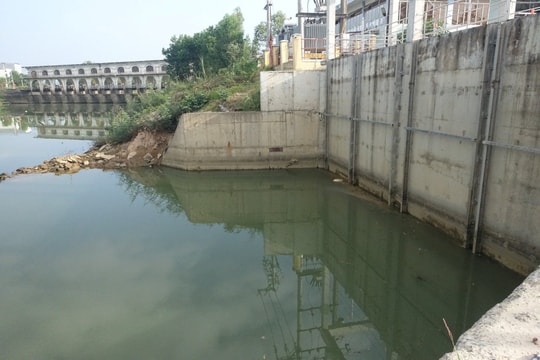 Đà Nẵng chủ động triển khai giải pháp ứng phó xâm nhập mặn