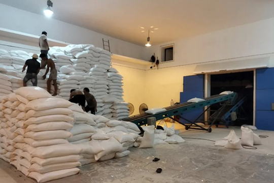 Đà Nẵng phân bổ hơn 1.300 tấn gạo hỗ trợ người dân dịp Tết Bính Ngọ