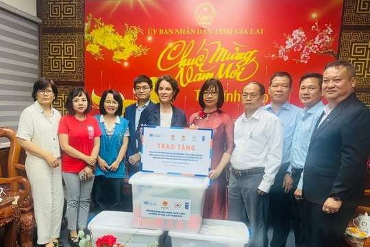 UNDP hỗ trợ hơn 18 tỷ đồng giúp người dân Gia Lai khắc phục hậu quả lũ lụt
