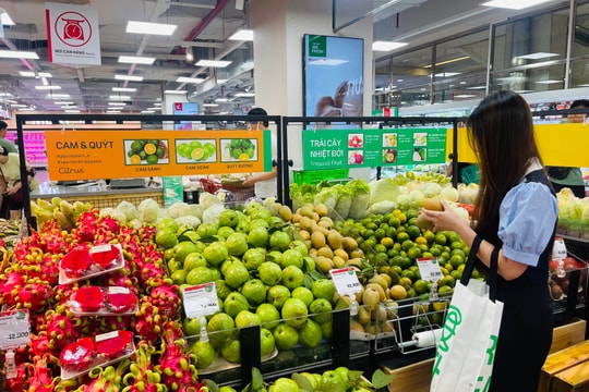 Tết xanh - Xu hướng giảm rác thải nhựa trong dịp đầu năm