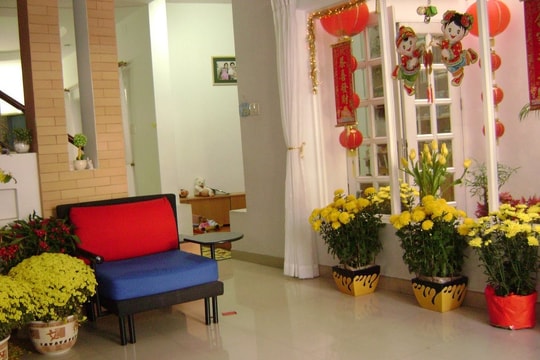 Sắc Xanh Ngày Tết