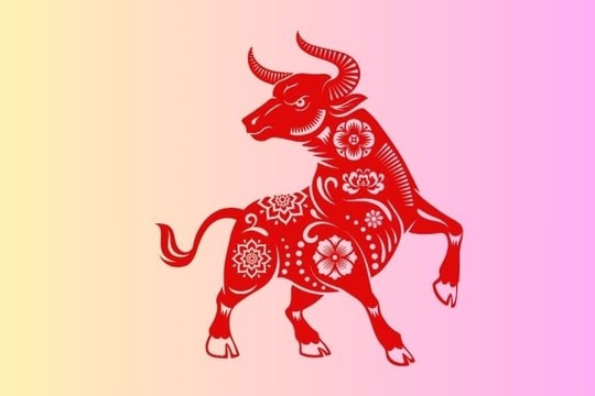 Xem tử vi hôm nay, tử vi 12 con giáp ngày 15/2/2026: Tuổi Sửu tài chính vững vàng, tuổi Ngọ tài sắc khởi vận