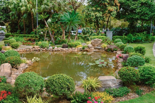 Đà Nẵng: Tái sử dụng nước thải sau xử lý để hình thành hồ cá sinh thái