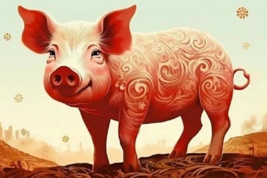 Xem tử vi hôm nay, tử vi 12 con giáp ngày 13/02/2026: Tuổi Thìn tiền bạc rủng rỉnh, tuổi Ngọ hạn chế chi tiêu