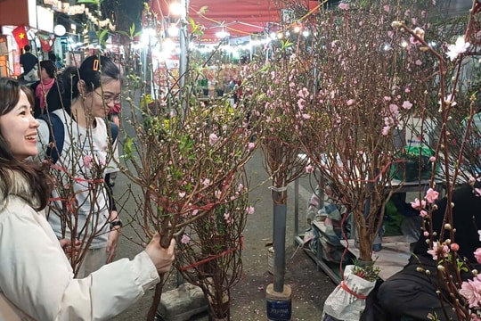 Dự báo thời tiết Hà Nội ngày 13/02/2026: Đêm và sáng trời rét