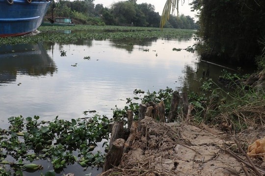 Tây Ninh công bố tình huống khẩn cấp sạt lở bờ kênh Dương Văn Dương