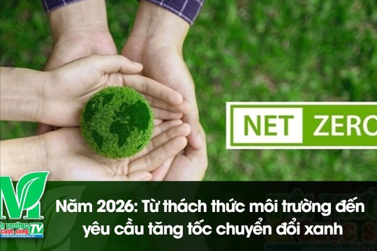 [VIDEO] Năm 2026: Từ thách thức môi trường đến yêu cầu tăng tốc chuyển đổi xanh