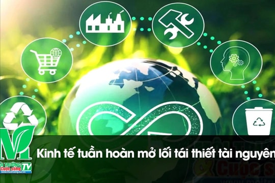 [VIDEO] Kinh tế tuần hoàn mở lối tái thiết tài nguyên
