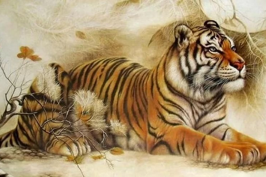 Xem tử vi hôm nay, tử vi 12 con giáp ngày 20/02/2026: Tuổi Dần tài lộc vượng phát, tuổi Hợi không nên tính chuyện lớn