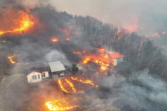 Hàng loạt vụ cháy rừng bùng phát trong đêm, Hàn Quốc nâng cảnh báo khẩn cấp