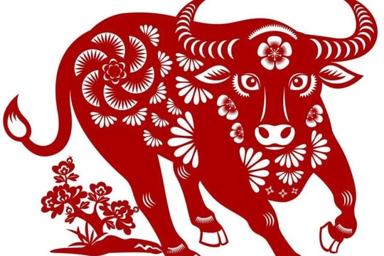 Xem tử vi hôm nay, tử vi 12 con giáp ngày 24/02/2026: Tuổi Sửu  thận trọng trong giao tiếp, tuổi Tuất khởi sắc