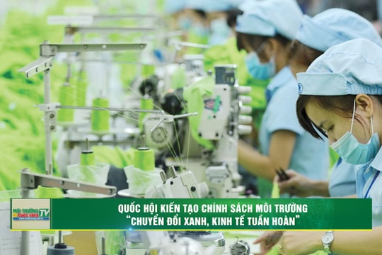 [VIDEO] Quốc hội kiến tạo chính sách môi trường “chuyển đổi xanh, kinh tế tuần hoàn”